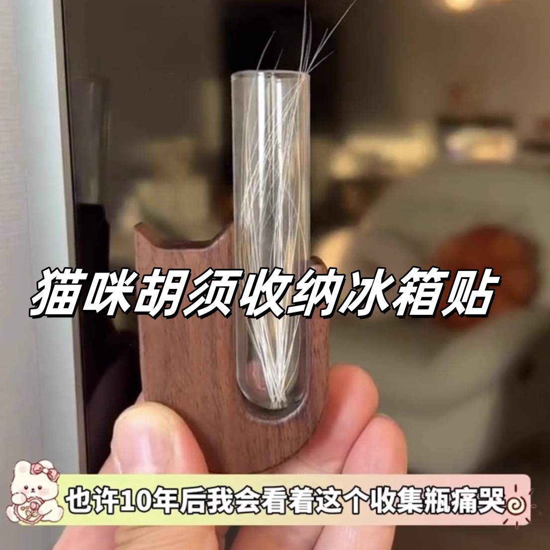 猫咪胡须收纳盒收藏留念宠物狗狗