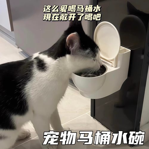猫咪马桶水碗喝水神器壁挂式