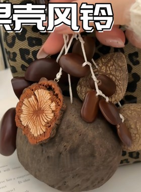果壳风铃手工编织天然果壳挂件治愈系解压音疗挂铃送朋友包包挂饰