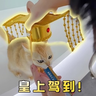 宠物皇帝帽子猫狗通用头套秦始皇cos头冠皇上龙帽变装拍照道具