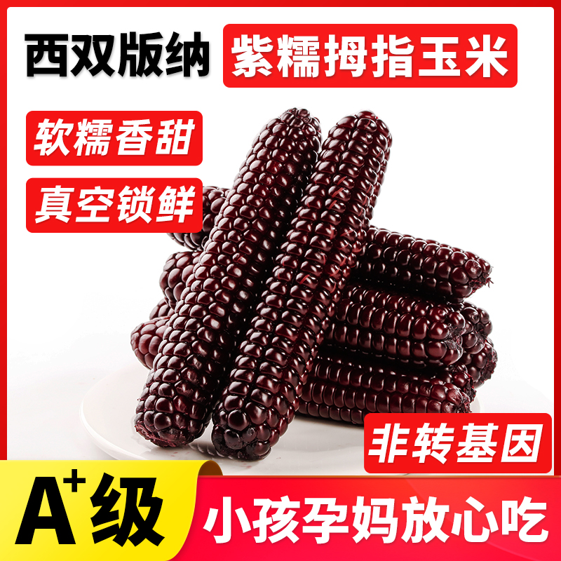 云南西双版纳拇指小玉米