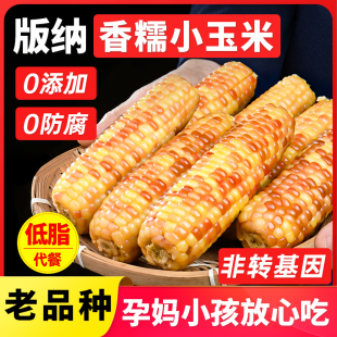 云南西双版 纳香糯小玉米5斤新鲜花甜糯玉米棒早餐代餐真空即食8斤