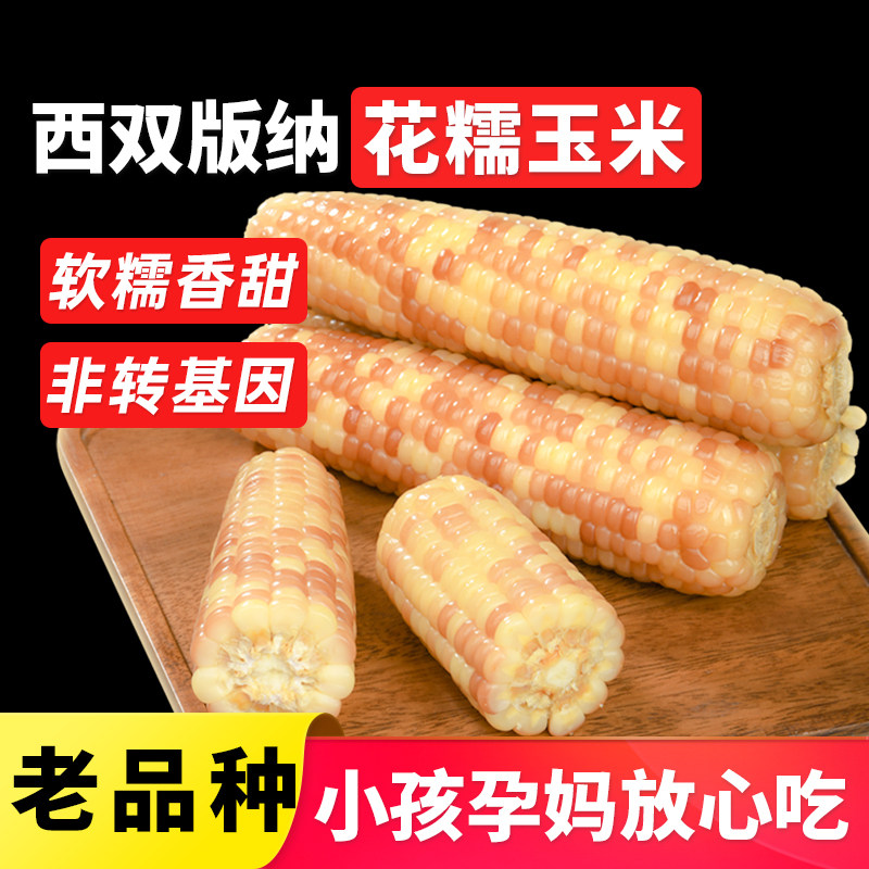 正宗云南西双版纳香花新鲜糯小玉米包谷真空袋装即食低脂早餐3斤,粮油调味/速食/干货/烘焙,玉米,淘宝优惠券,粉丝福利购,淘宝优惠卷