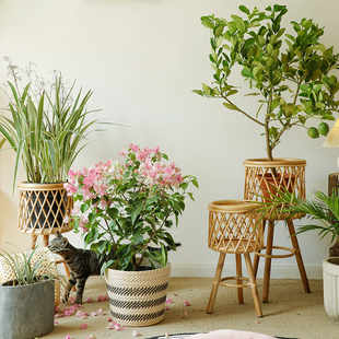 Na家花房 饰龟背竹藤编花盆阳台花架 北欧ins风客厅植物竹编花篮装