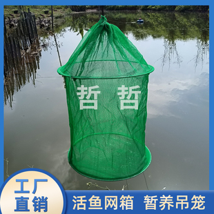 存于网箱暂养网兜速干养虾泥鳅黄鳝小鱼养鱼吊笼养活渔网折叠鱼护