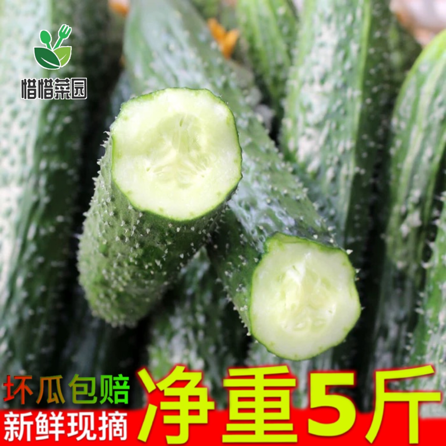 农家自种现摘现发新鲜瓜果水果刺黄瓜大青瓜蔬菜5斤装包邮