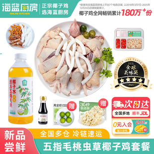 【新品尝鲜】海蓝厨房五指毛桃虫草花椰子鸡套餐火锅海南文昌鸡汤