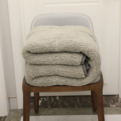 特价超值秋冬季双层泰迪绒毛毯