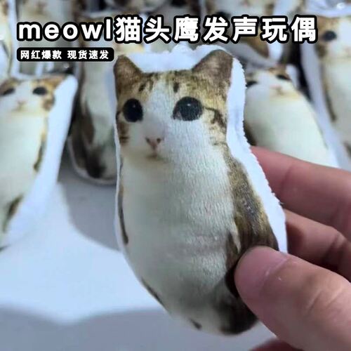 meowl猫头鹰玩偶语音抽象