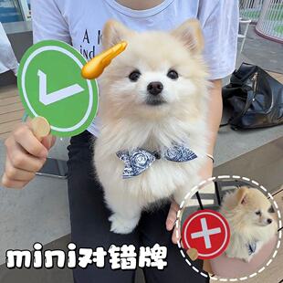 对错举手牌可爱趣味mini打分牌人宠互动游戏道具搞笑手持打卡神器