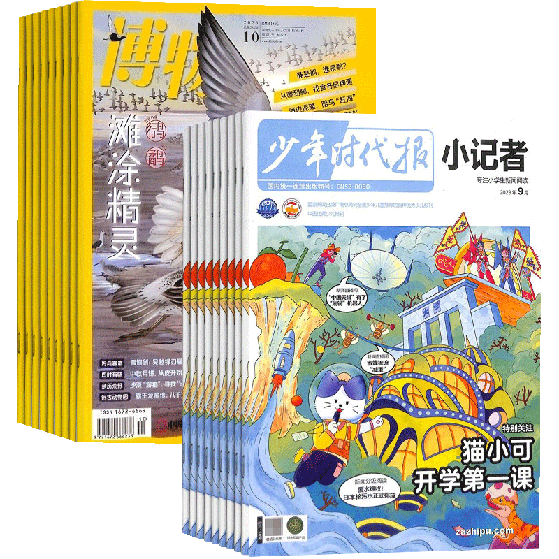博物+少年时代报小记者组合