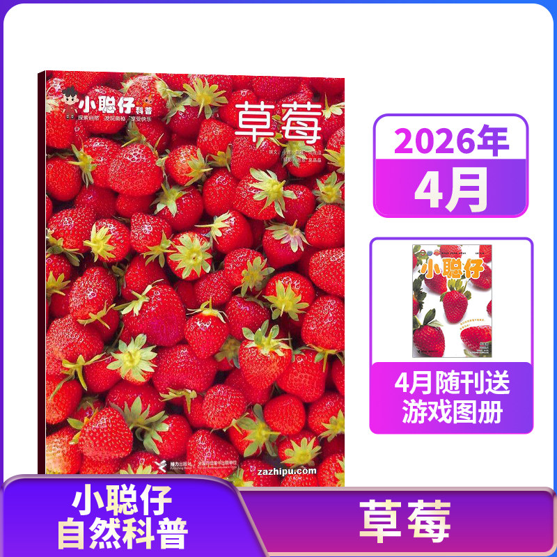 【26/25/年半年/包邮】小聪仔自然科普版杂志 杂志铺订阅 少儿益智科普智力开发拓宽知识面科学探秘儿童课外阅读期刊