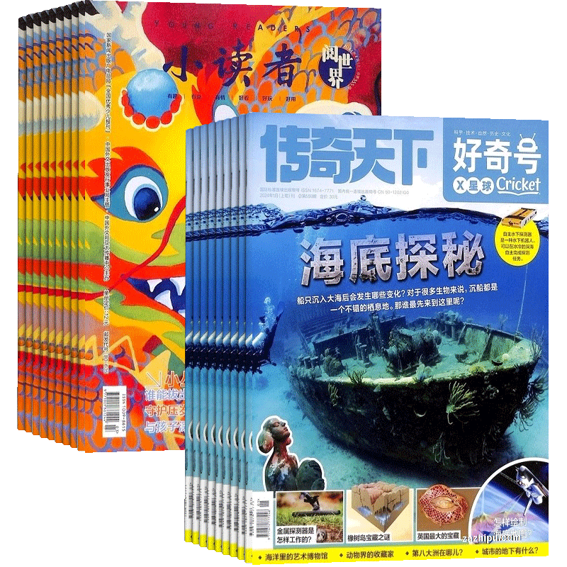 好奇号+小读者追风少年杂志组合 2026年7月起订 1年共24期 杂志铺全年订阅 科学历史少儿科普 少儿文学文摘小学生课外阅读期刊杂志