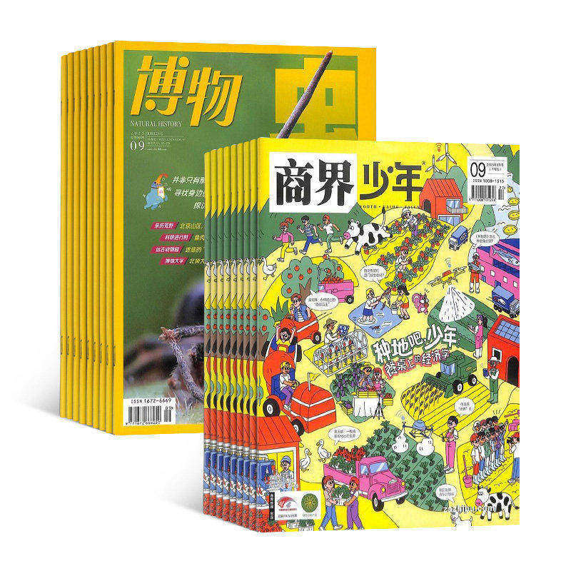【全年12个月订阅 2026年4月起订 】限时促销 博物/意林少年版/环球科学/国家地理/意林作文素材杂志订阅 全年订阅 杂志铺