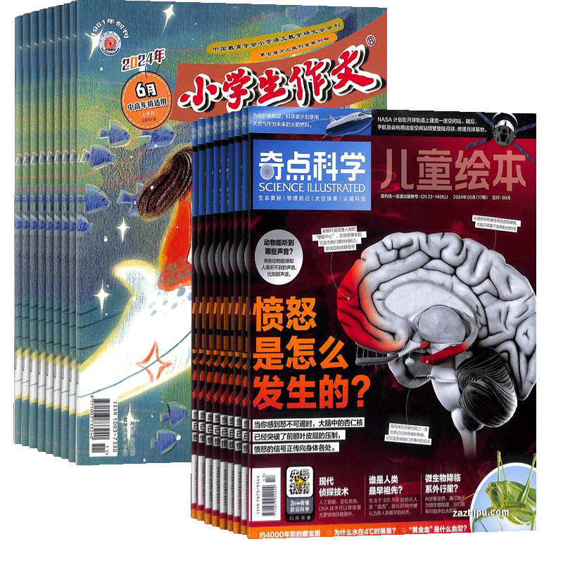奇点科学+小学生作文杂志组合