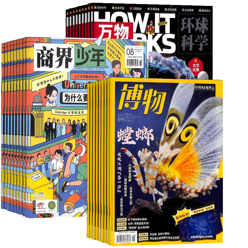 博物加商界少年加万物组合