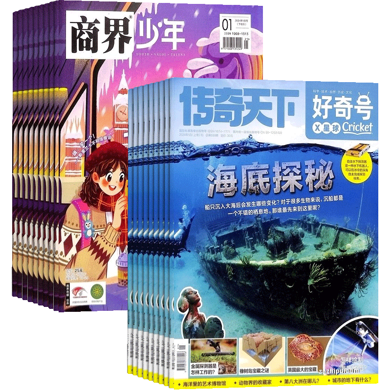 【包邮】商界少年+好奇号杂志组合 2026年1月起订 1年共24期 杂志铺 自然科学历史人文商业财经中英双语阅读少儿科普期刊