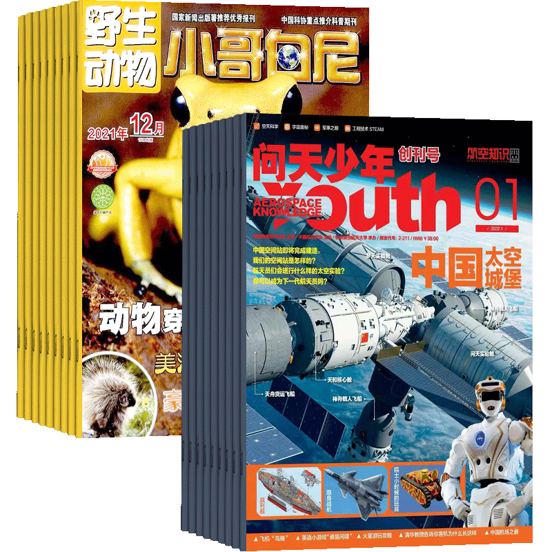 问天少年加小哥白尼野生动物画报