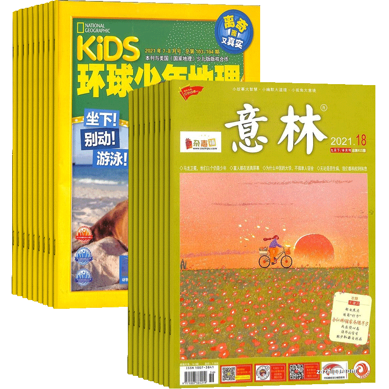 环球少年地理+意林组合杂志