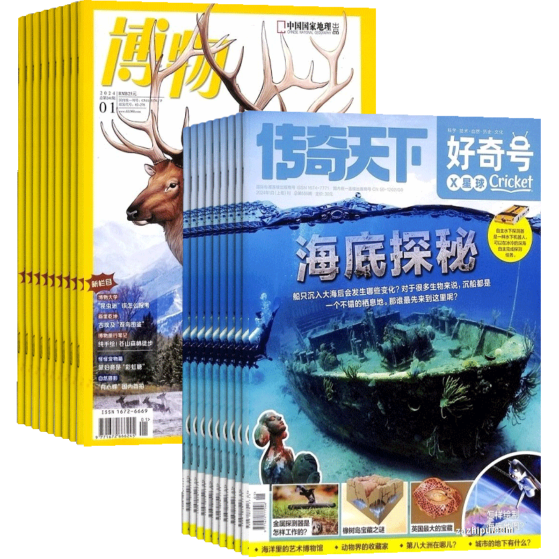 好奇号加博物杂志中小学生阅读