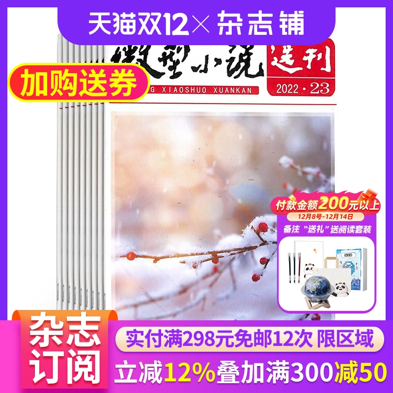半年包邮微型小说选刊杂志订阅