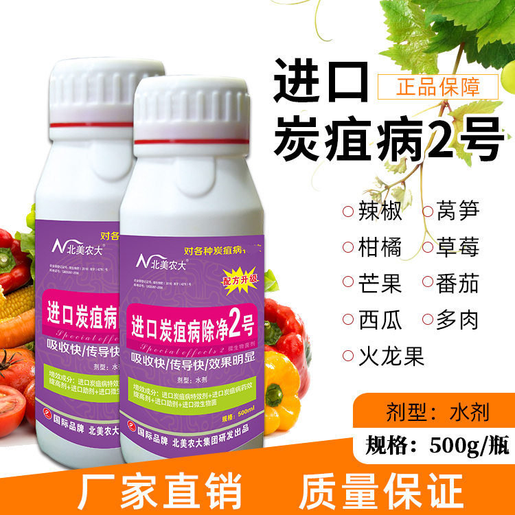 炭疽病杀菌菌剂柑橘番茄黄瓜葡萄苹果西瓜辣椒草莓炭疽病通用药