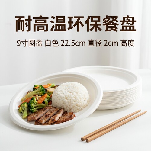一次性盘子餐盘碗筷纸盘纸碟加厚食品级碟子圆盘果盘烧烤家用餐具