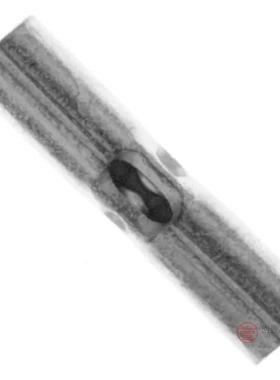 原装330367全新CONN SPLICE 16-22 AWG CRIMP正品