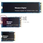 原装SDAPTUW-256G全新固态硬盘 - SSD 256 GB - 3.