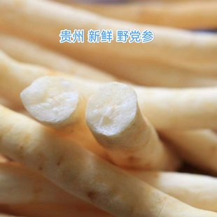 250g新鲜贵州威宁土特产纯天然野生正宗党参炖汤排骨带土现挖现发