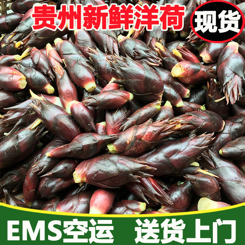 洋荷蔬菜价格 洋荷蔬菜图片 星期三