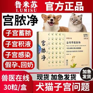 宫脓净子宫清宠物狗狗猫咪假孕回奶内膜炎流血子宫蓄脓积液感染药