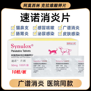 速诺消炎片猫狗阿莫西林克拉维酸钾猫咪消炎药猫咪感冒咳嗽药鼻支