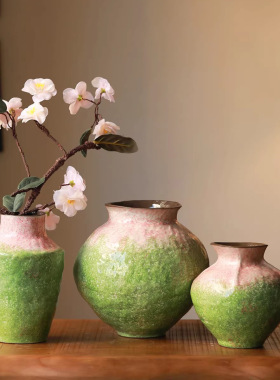 水培插花绿色渐变色家居客厅民宿装饰桌面精致小巧摆件侘寂风花瓶