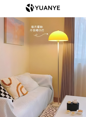 氛围灯落地灯蘑菇灯高级感ins中古法式奶油风立式台灯创意高颜值