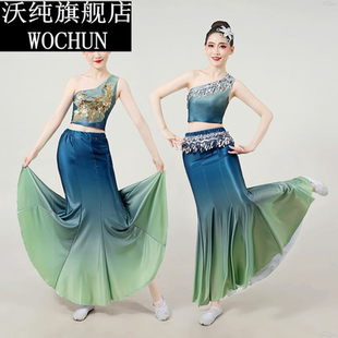 傣族舞蹈演出服练功裙表演服女傣族孔雀舞蹈裙鱼尾半身艺考服装
