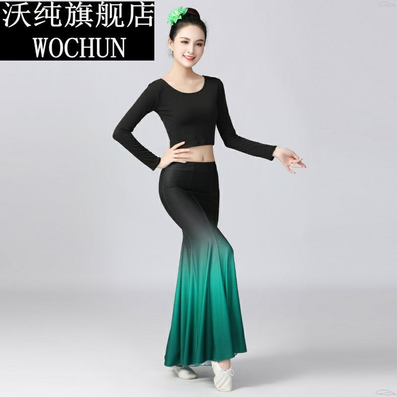 傣族舞蹈服女演出服练功舞裙孔雀舞蹈艺考表演服装舞蹈练习半身裙