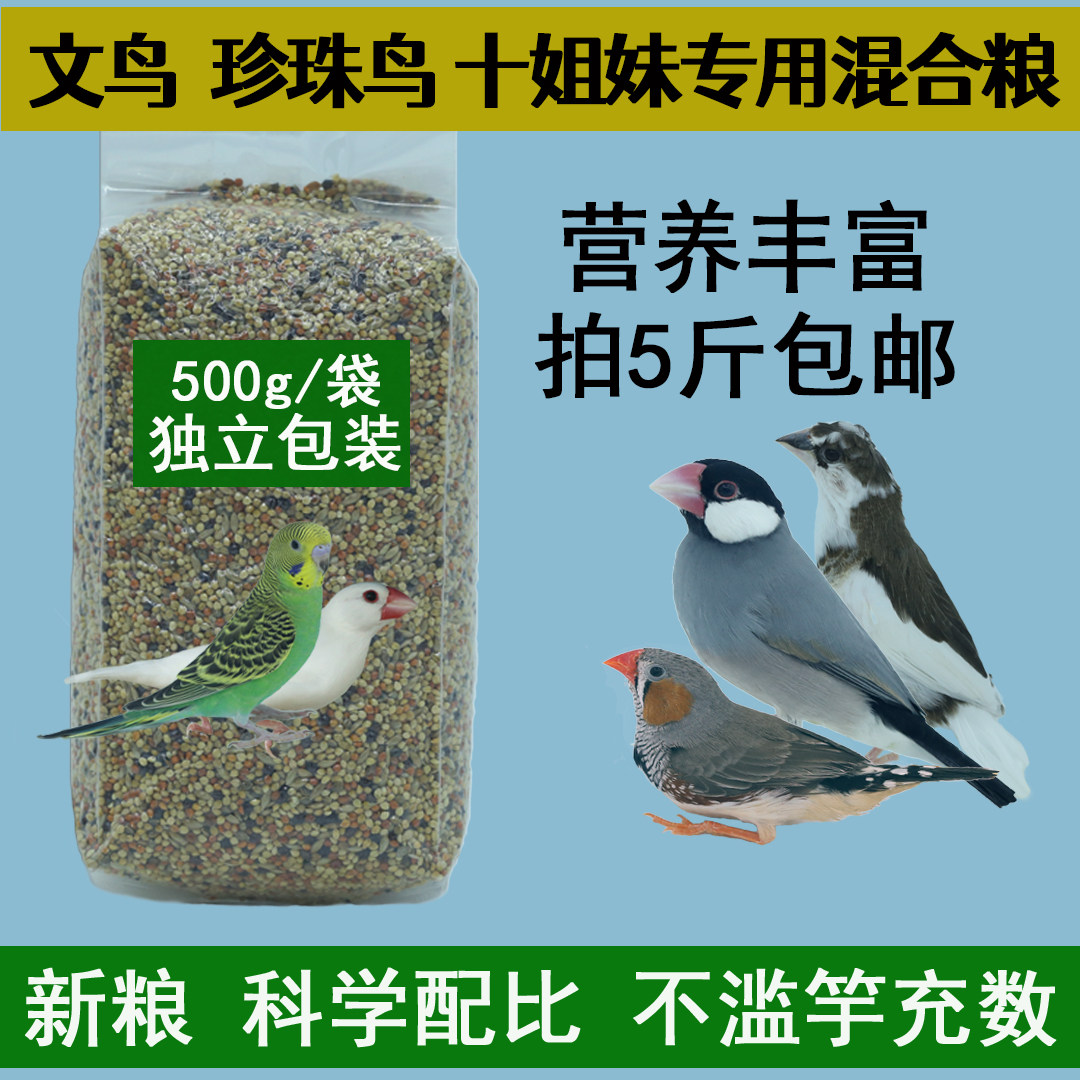 十姐妹鸟食鸟食羽露森林新粮图片