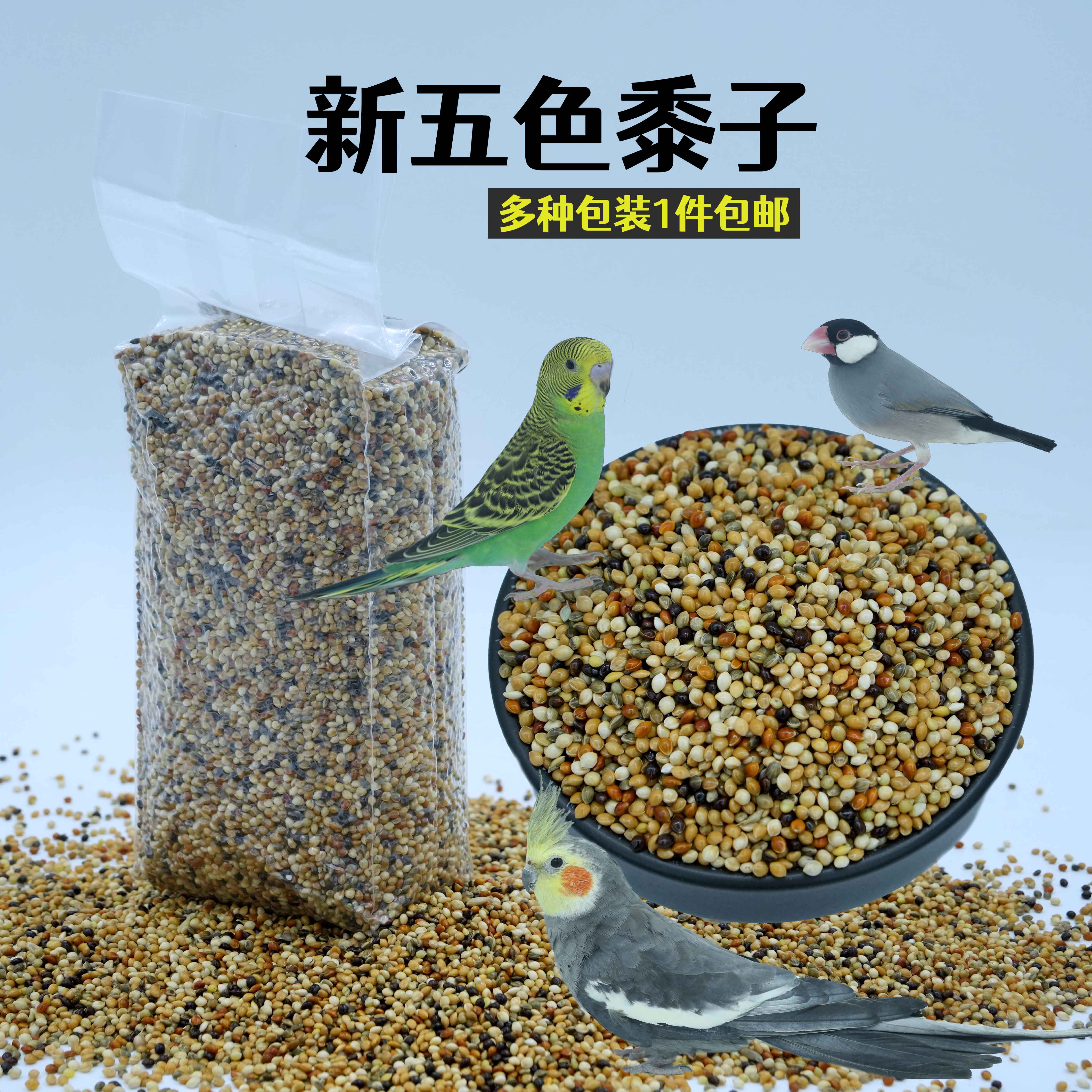 鹦鹉五色黍子黍子仓鼠粮糜子鸟粮