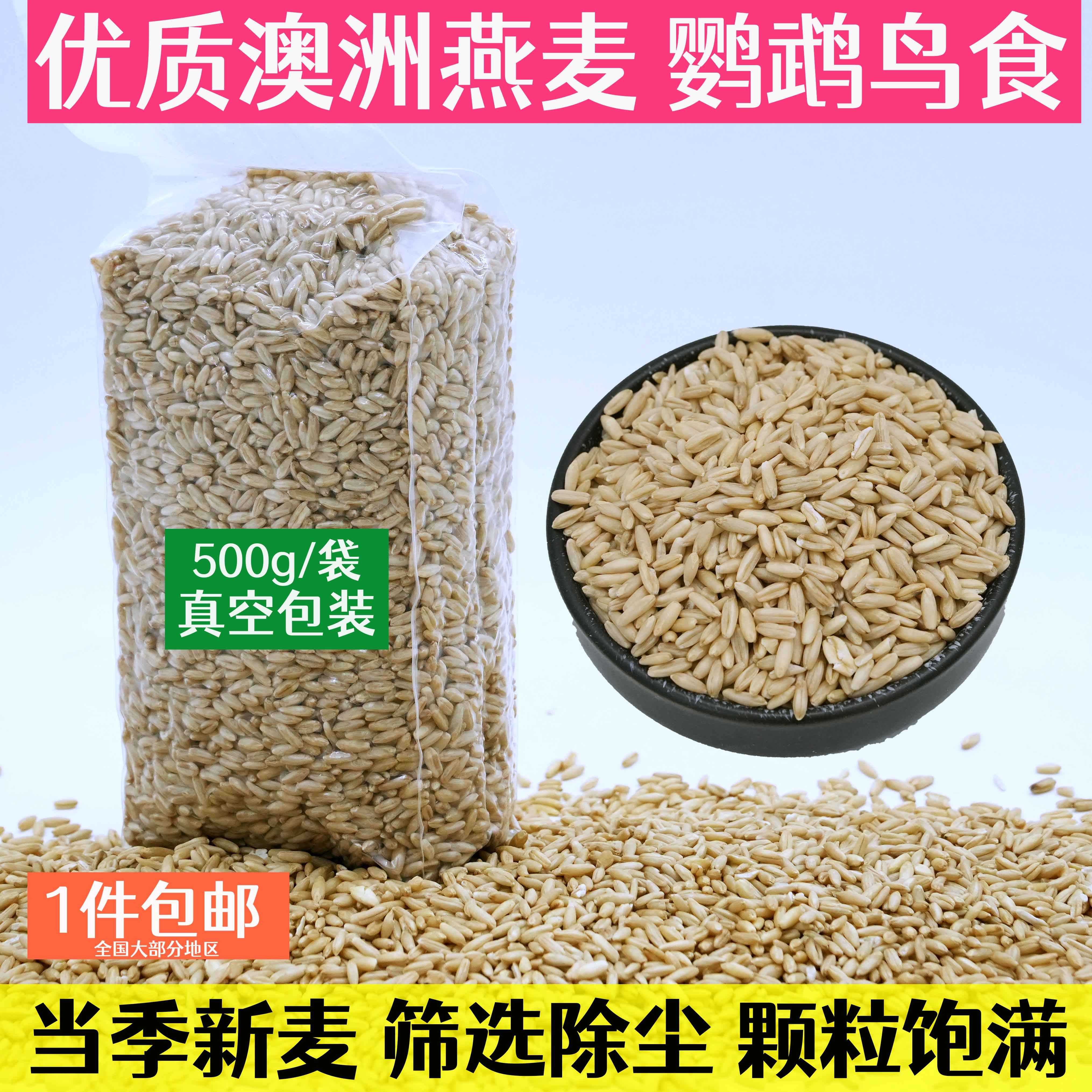 新燕麦仁燕麦米优质鸟食鹦鹉鸟粮澳洲大颗粒燕麦米天然燕麦鸟饲料,宠物/宠物食品及用品,鸟食,淘宝优惠券,粉丝福利购,淘宝优惠卷