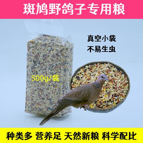 斑鸠饲料羽露森林真空斑鸠粮