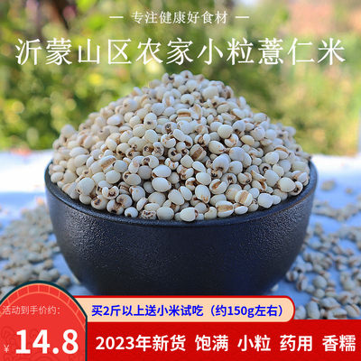 小薏米农家自种药用2023新货500g