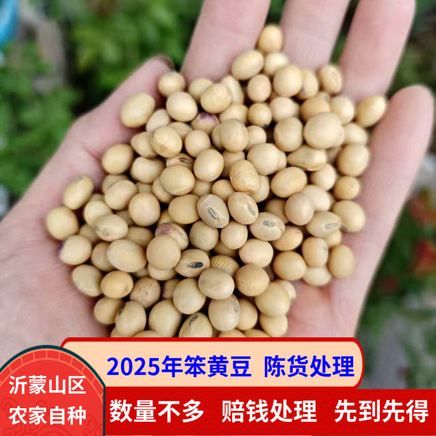 2025年笨黄豆陈货处理21.8元5斤包邮数量不多抢到赚到