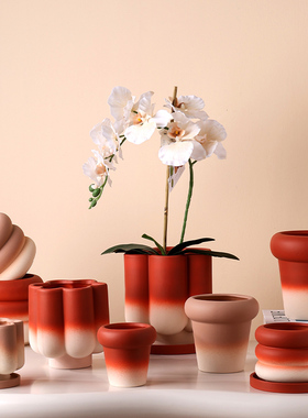新年红色蝴蝶兰花盆轻奢高级感家用陶瓷组合套盆高端兰花专用花盆
