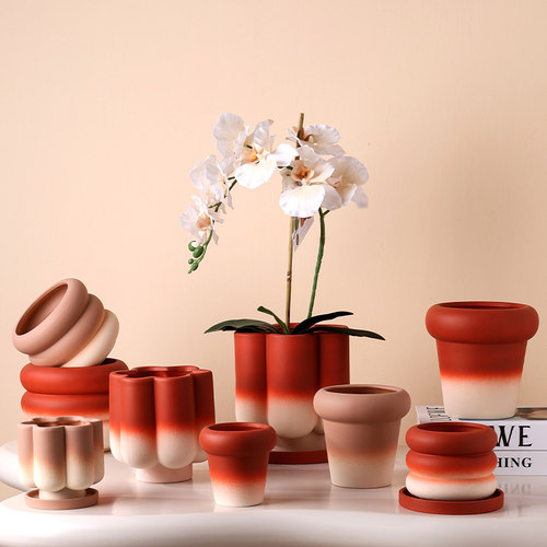 超1千设计师推荐蝴蝶兰专用花盆