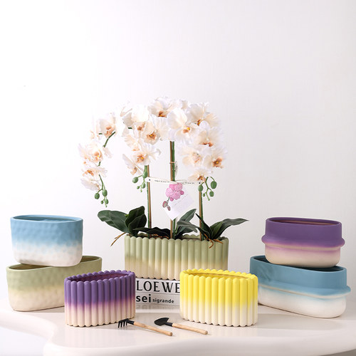 多巴胺素烧蝴蝶兰花盆陶瓷新年年宵花办公室有孔长圆形单株组盆