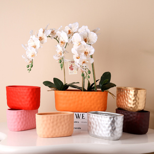 单株蝴蝶兰手捏花盆陶瓷新年年宵北欧简约办公室有孔长圆形福桶