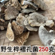 野生桦褶孔菌250克毛云芝单色云芝桦革褶菌正品 新货桦革裥菌