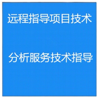 远程指导项目技术分析服务技术数据分析指导