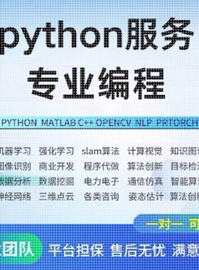 python编程深度学习机器学习算法代做项目创新指导跑通代码复现